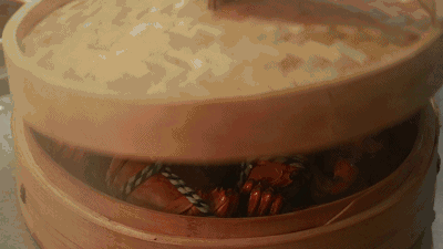 4.gif