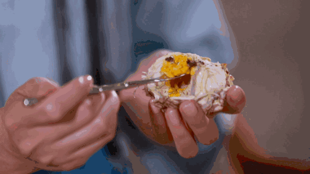 5.gif