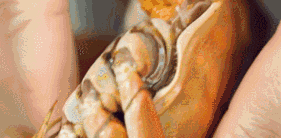 7.gif